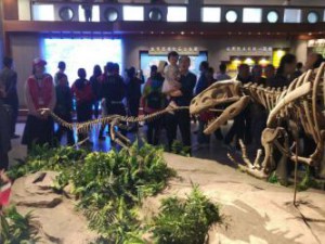 muzej_gde_dinozavry_gorod_czygun