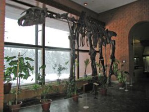 paleontologicheskij_muzej_im_yu_a_orlova